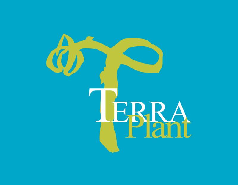 Aménagement paysager, clôture, terrassement et assainissement 